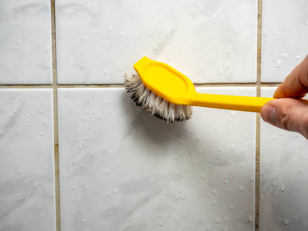 Best Mold Remediation  in Matoaca, VA