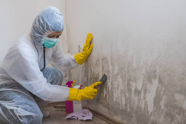 Best Attic Mold Removal  in Matoaca, VA