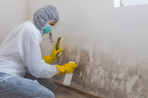 Best Professional Mold Removal  in Matoaca, VA