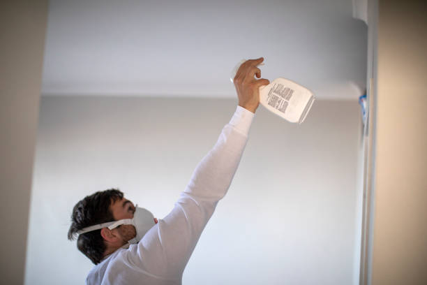 Best Emergency Mold Removal  in Matoaca, VA