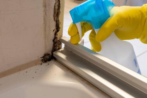 Best Crawl Space Mold Removal  in Matoaca, VA