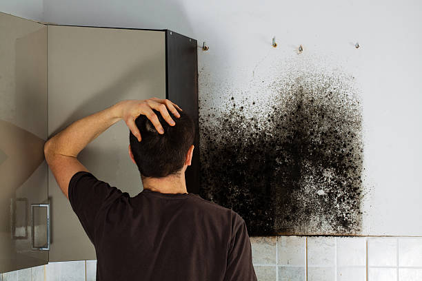 Mold Testing and Removal in Matoaca, VA
